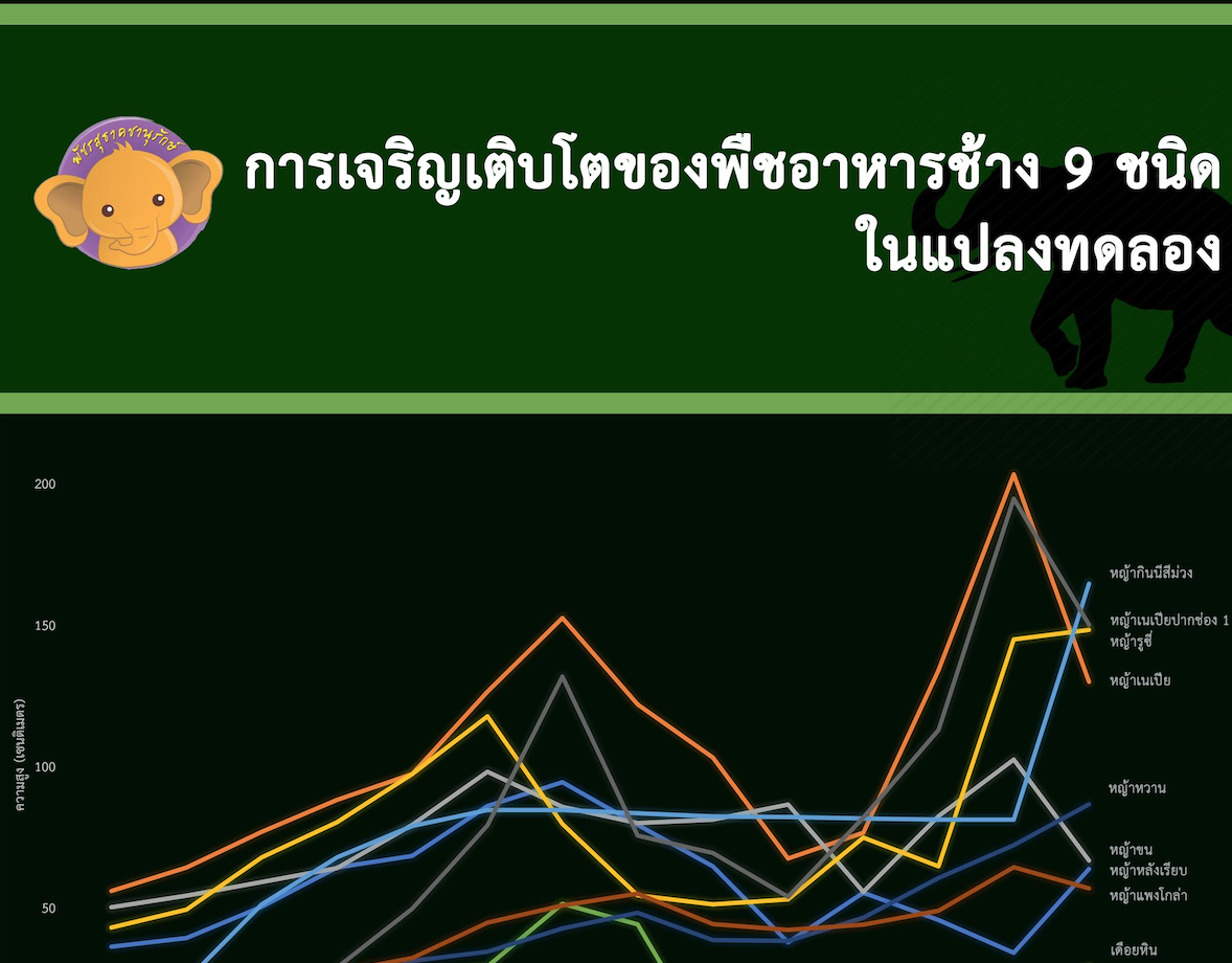 การเจริญเติบโตของพืชอาหารช้าง พัชรสุธาคชานุรักษ์ ในพระบรมราชูปถัมภ์