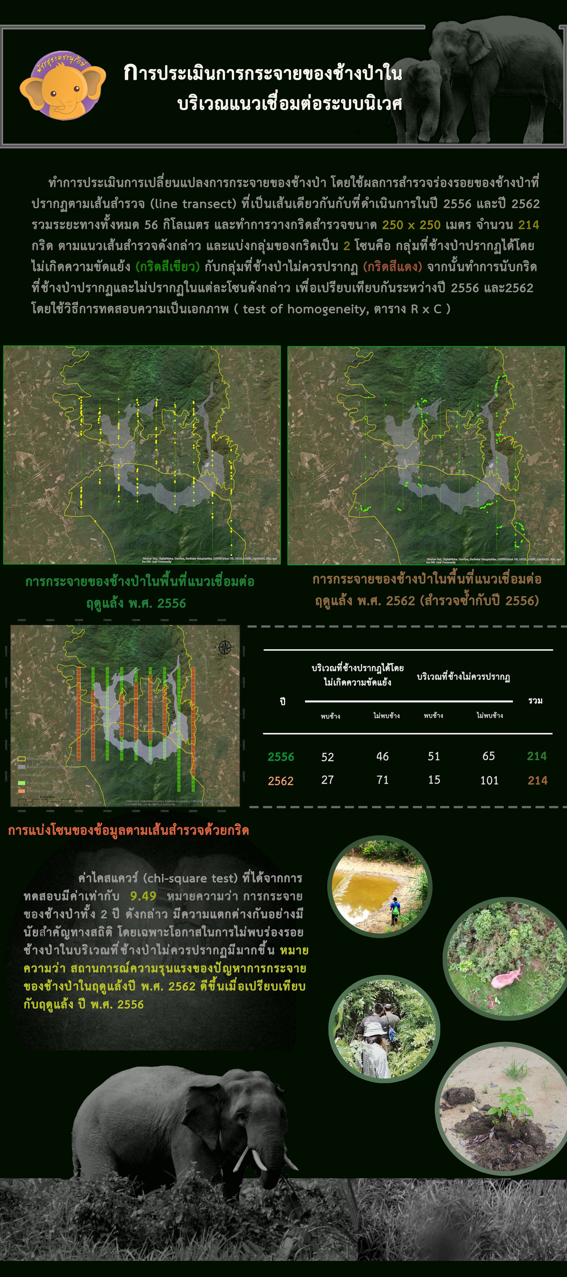 การประเมินการกระจายของช้างป่าในบริเวณแนวเชื่อมต่อระบบนิเวศ