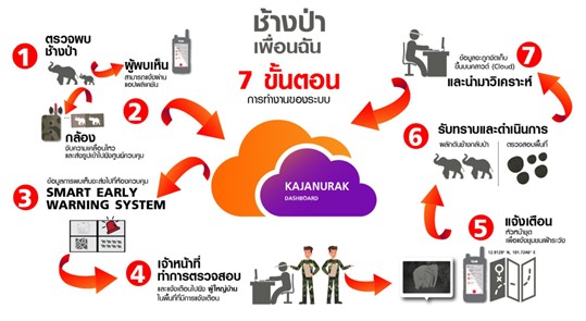 ช้างป่า เพื่อนฉัน พัชรสุธาคชานุรักษ์ ในพระบรมราชูปถัมภ์